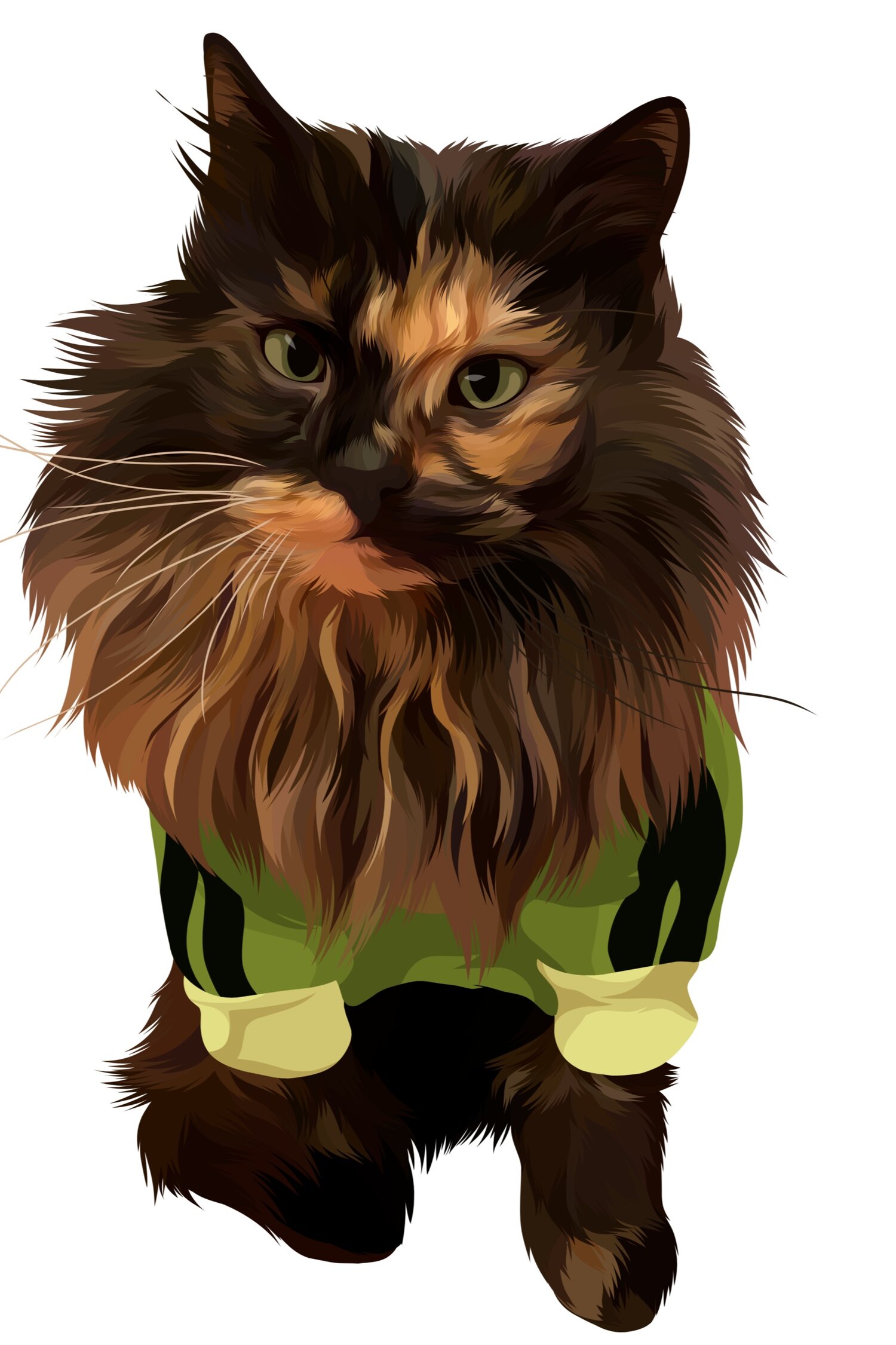 Whisker  City Feline Enrichment