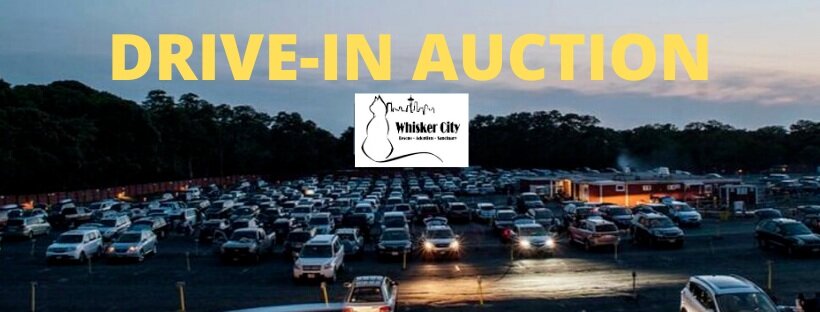 Drivein+Auction+header.jpg